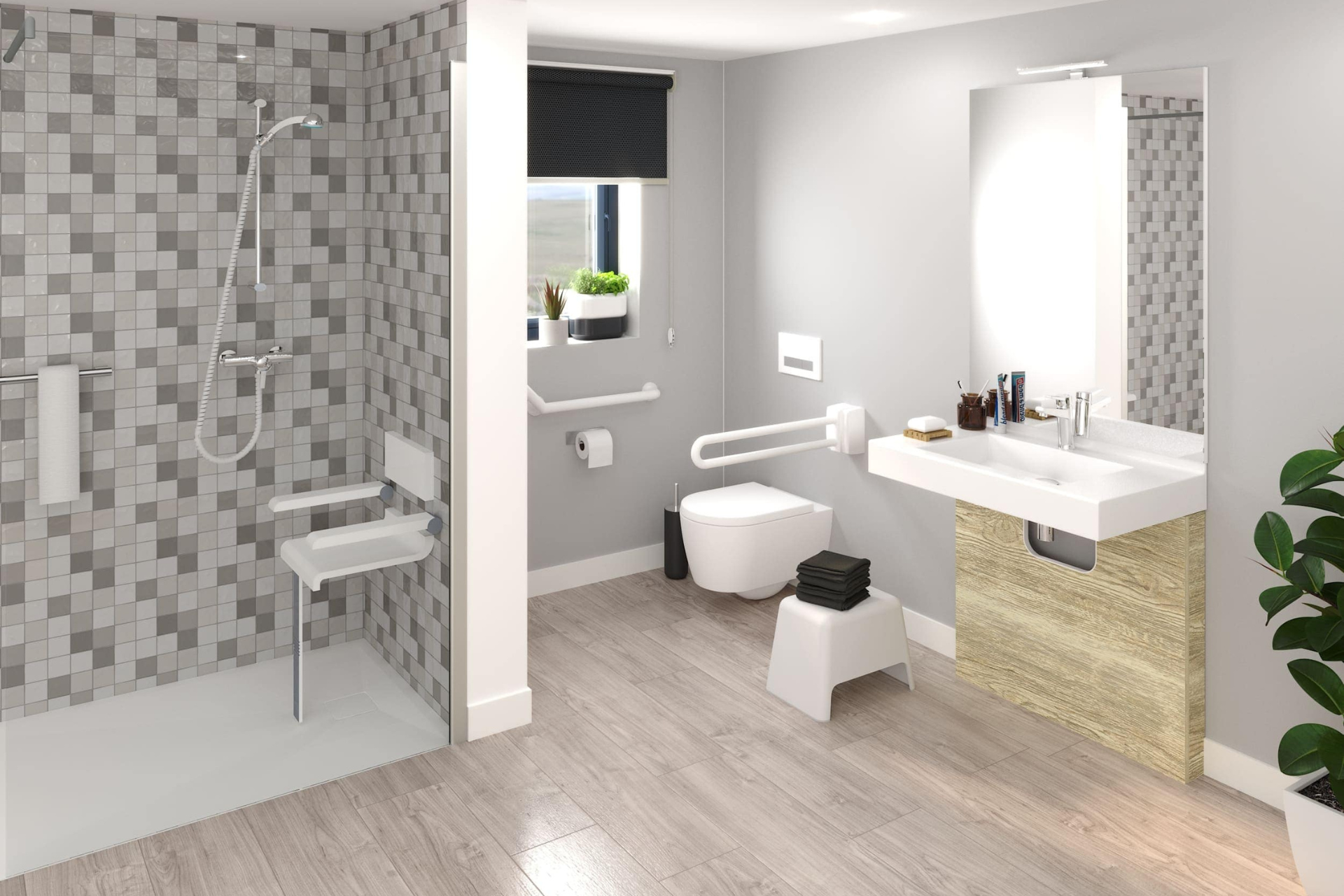 Accessible sanitary facilities (PMR)