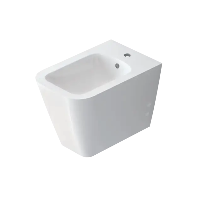 Back to Wall Bidet